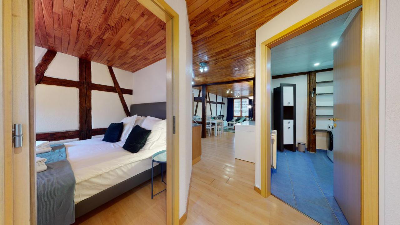 Appartement Le Petit Thierenbach à Colmar Extérieur photo